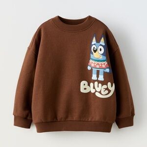 Zara Brown Kids Sweatshirt with Fun Graphic